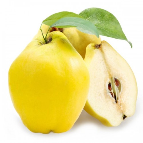 AYVA FİDANI EŞME 3 YAŞ