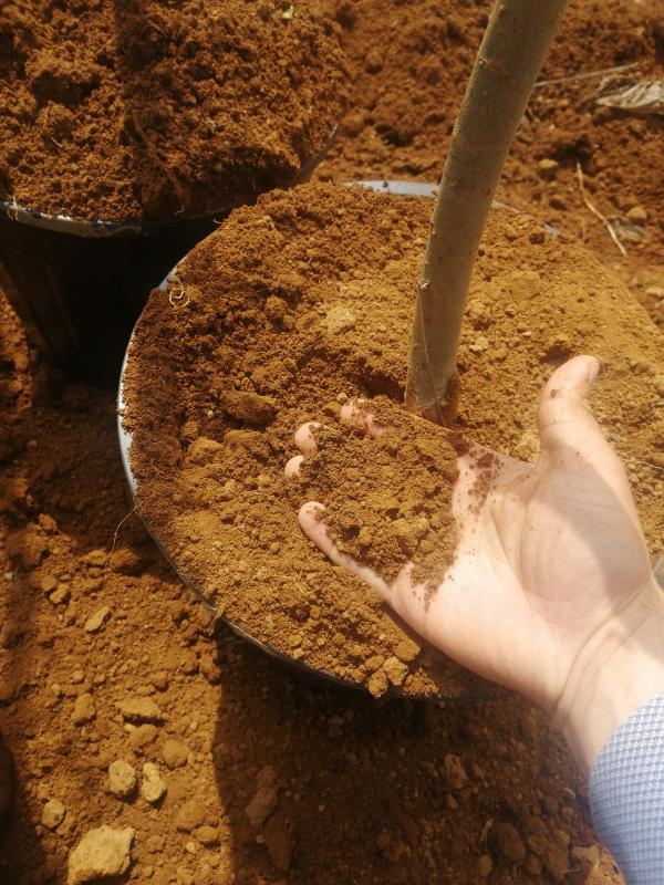 20kg%20doğal%20bahçe%20toprağı