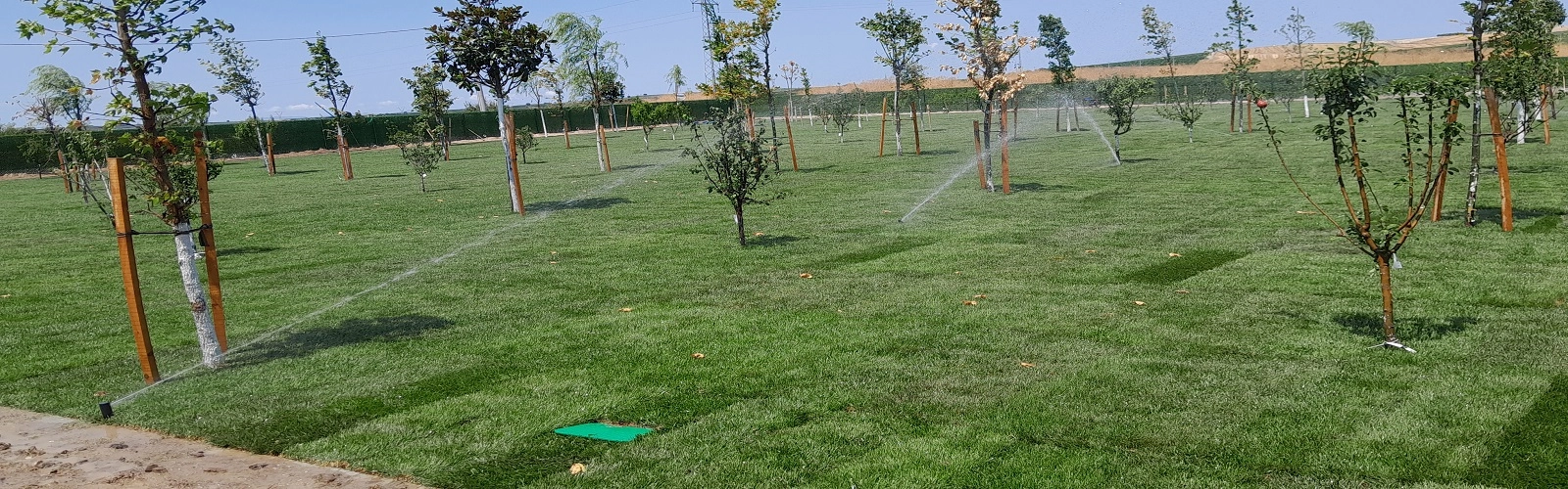 Peyzaj Proje Uygulamalarımız otomatik sulama sistemi ve ağaçlandırma projemiz.
